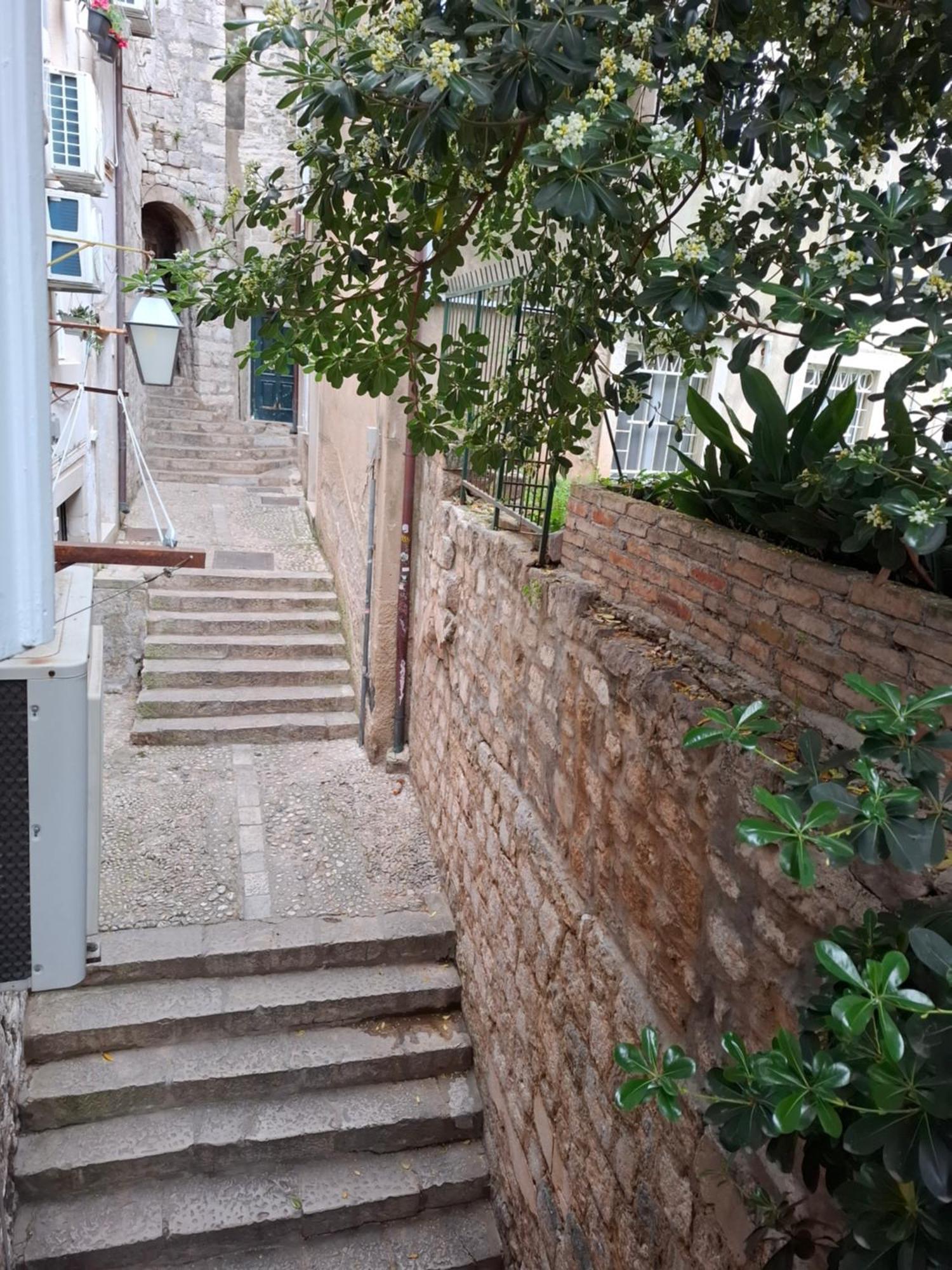 Ella Apartment